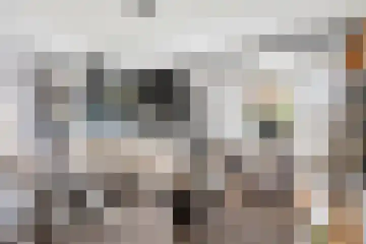 Vincent van Goghstraat 28 Volendam thumbnail 10