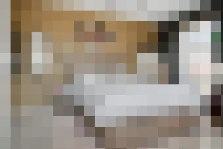 Vincent van Goghstraat 28 Volendam thumbnail 37