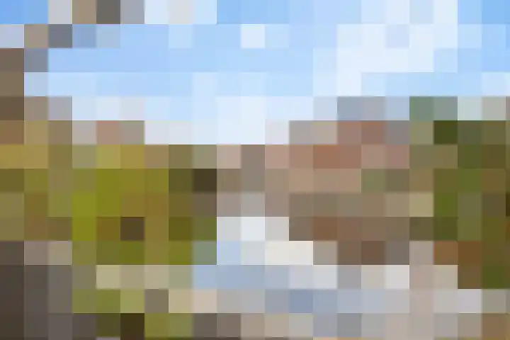 Vincent van Goghstraat 28 Volendam thumbnail 59