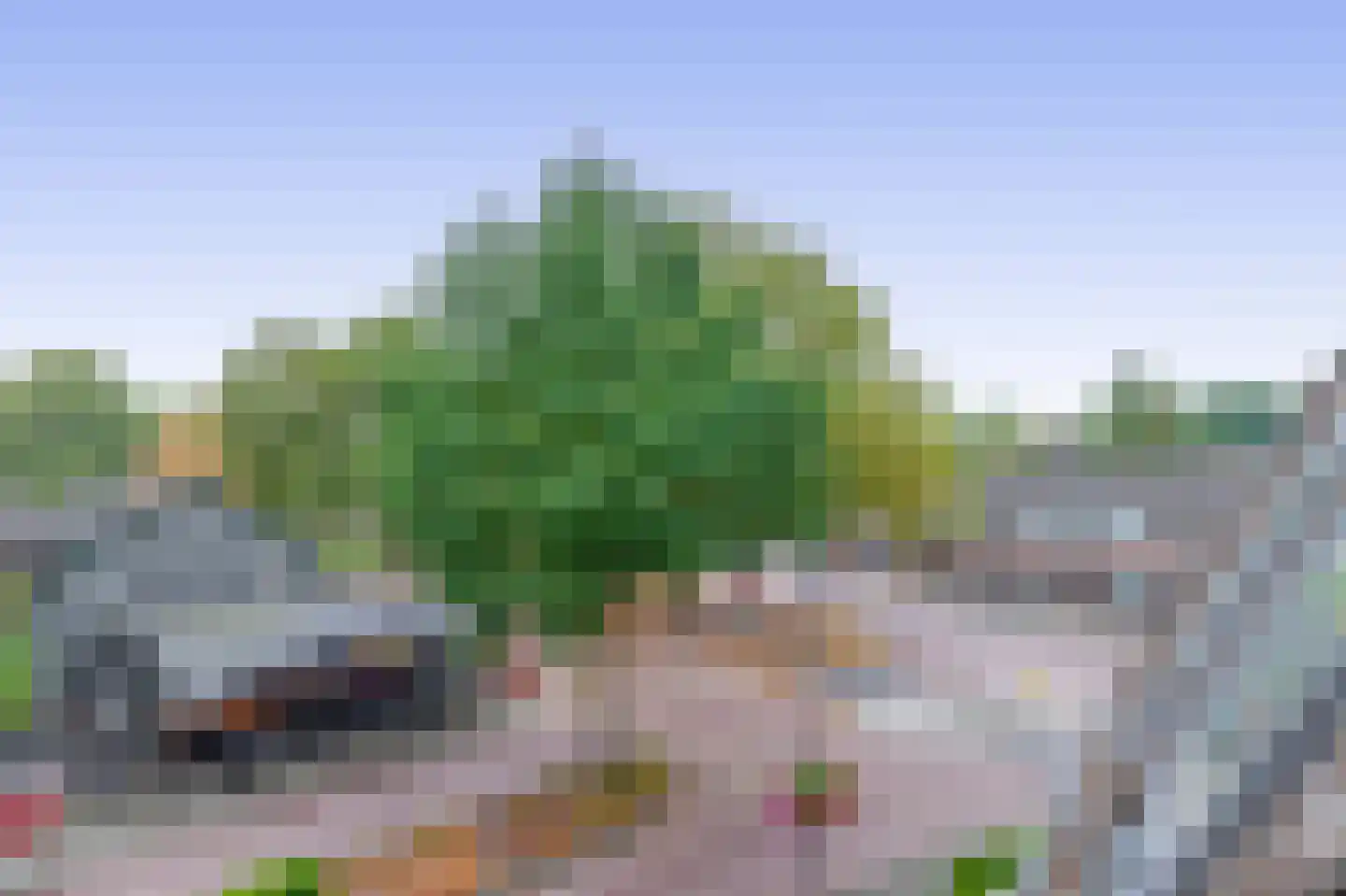 Vincent van Goghstraat 3 A Nuenen thumbnail 30