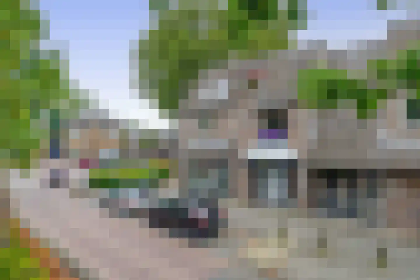 Vincent van Goghstraat 3 A Nuenen thumbnail 42