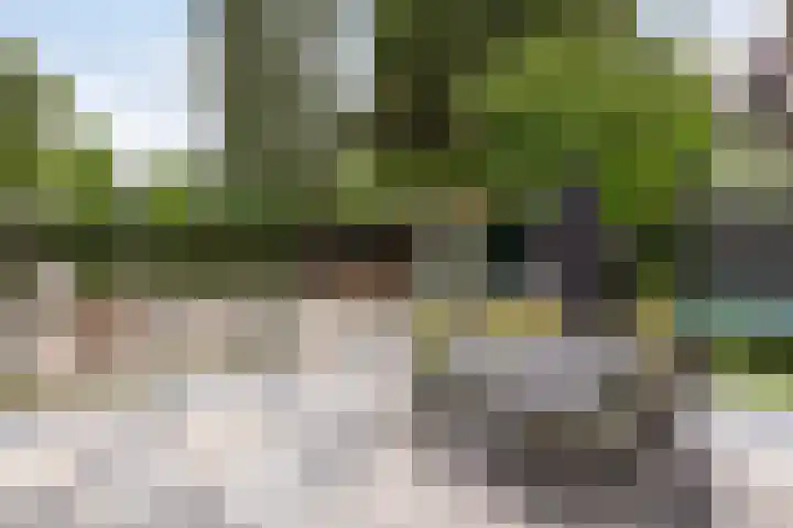Vincent van Goghstraat 3 Rozenburg thumbnail 18
