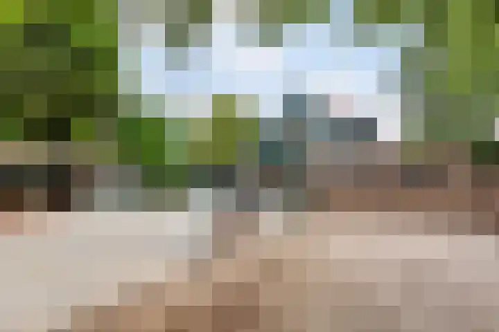 Vincent van Goghstraat 3 Rozenburg thumbnail 21