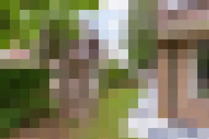 Vincent van Goghstraat 3 Rozenburg thumbnail 24