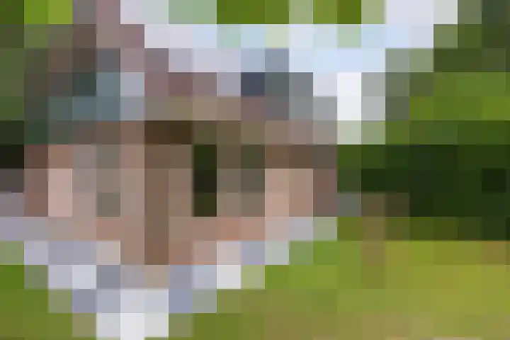 Vincent van Goghstraat 3 Rozenburg thumbnail 25
