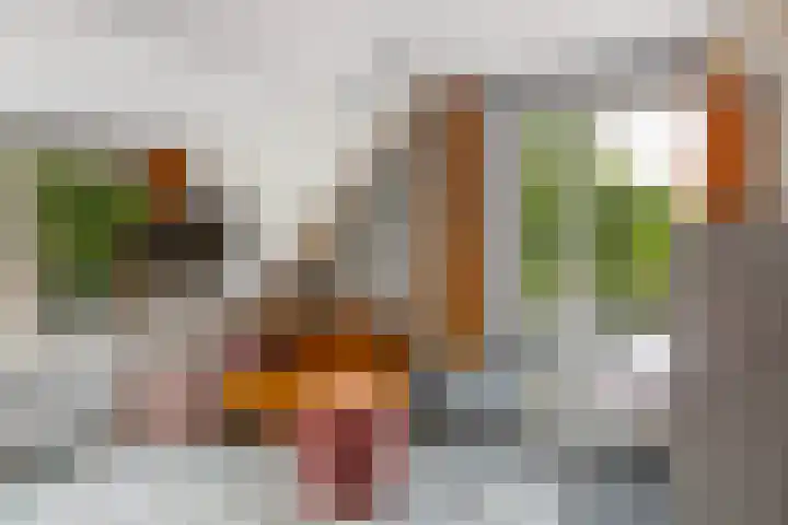 Vincent van Goghstraat 3 Rozenburg thumbnail 29