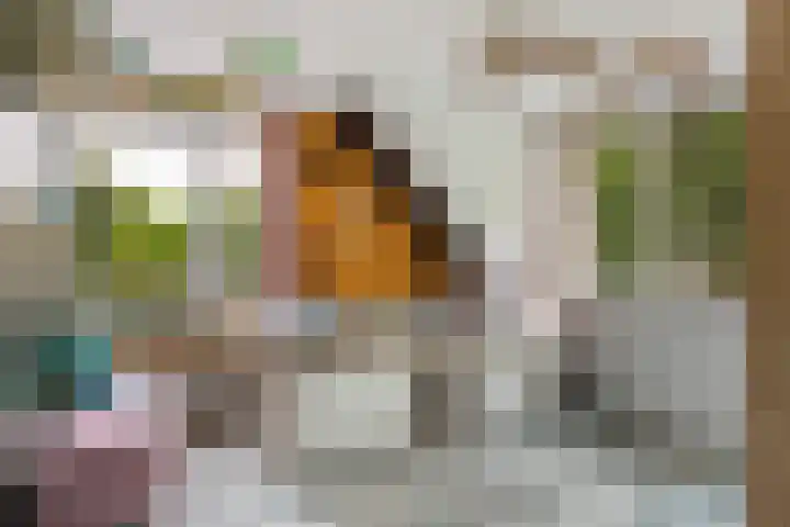Vincent van Goghstraat 3 Rozenburg thumbnail 32