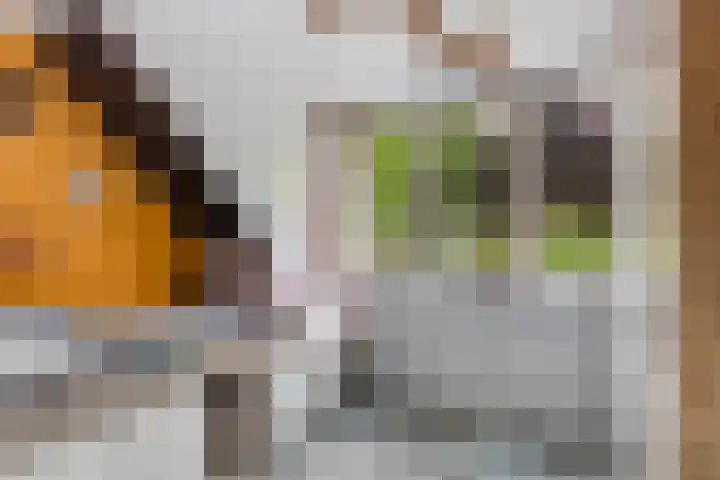 Vincent van Goghstraat 3 Rozenburg thumbnail 33