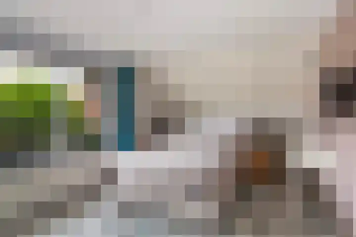 Vincent van Goghstraat 3 Rozenburg thumbnail 34