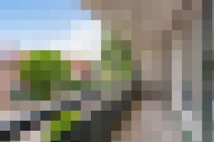 Vincent van Goghstraat 3 Rozenburg thumbnail 38