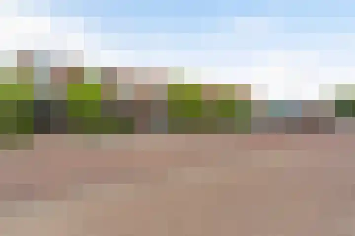 Vincent van Goghstraat 3 Rozenburg thumbnail 44
