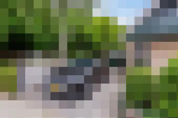Vincent van Goghstraat 3 Rozenburg thumbnail 5