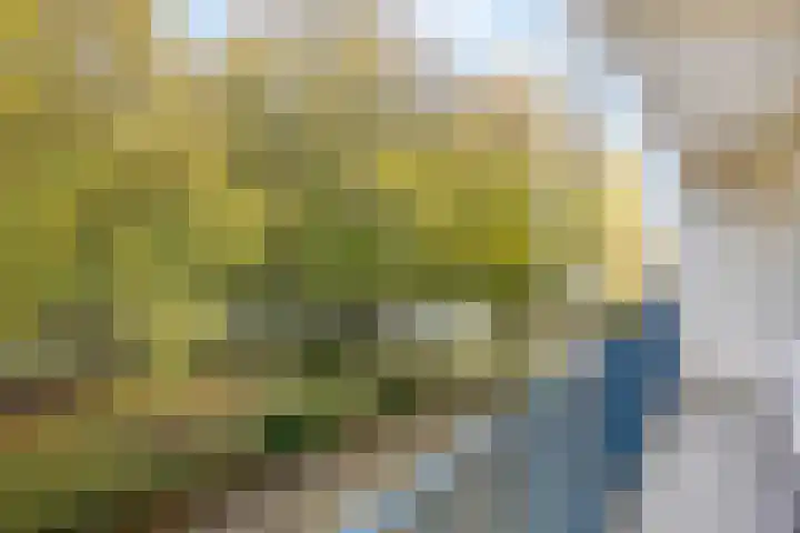 Vincent van Goghstraat 30 Terneuzen thumbnail 12