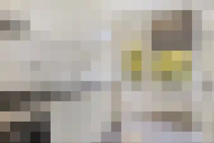 Vincent van Goghstraat 30 Terneuzen thumbnail 4