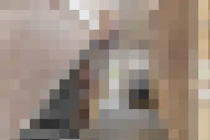 Vincent van Goghstraat 34 Nuenen thumbnail 10