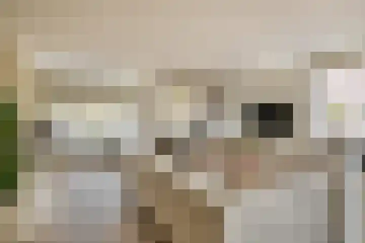 Vincent van Goghstraat 34 Nuenen thumbnail 13