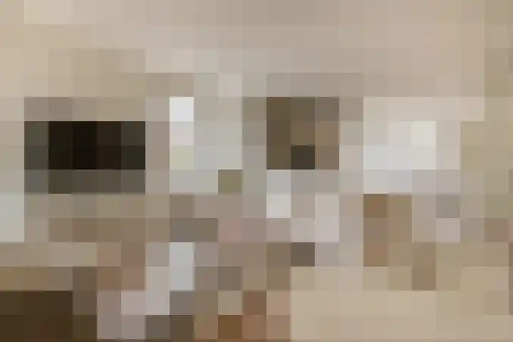 Vincent van Goghstraat 34 Nuenen thumbnail 16