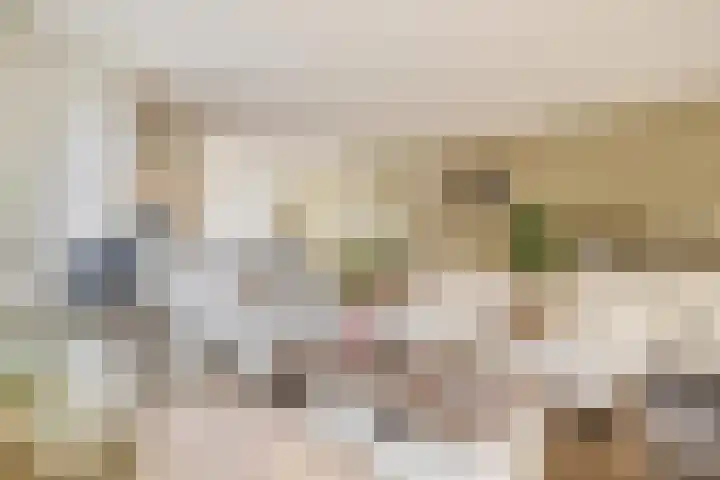 Vincent van Goghstraat 34 Nuenen thumbnail 17