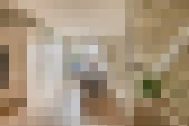 Vincent van Goghstraat 34 Nuenen thumbnail 19