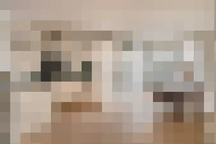 Vincent van Goghstraat 34 Nuenen thumbnail 23