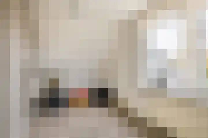Vincent van Goghstraat 34 Nuenen thumbnail 28