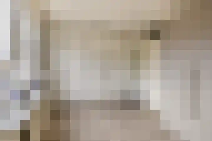 Vincent van Goghstraat 34 Nuenen thumbnail 29
