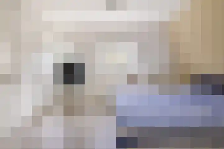 Vincent van Goghstraat 34 Nuenen thumbnail 30