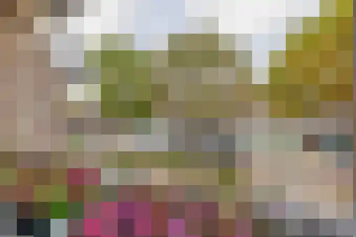 Vincent van Goghstraat 34 Nuenen thumbnail 36