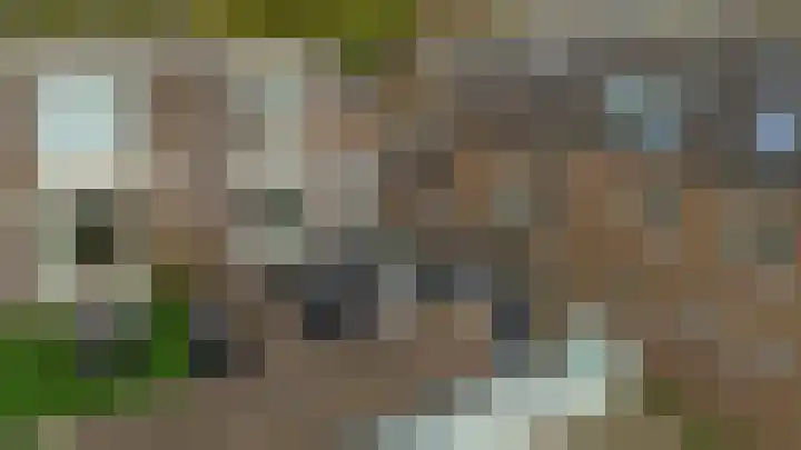 Vincent van Goghstraat 34 Nuenen thumbnail 50