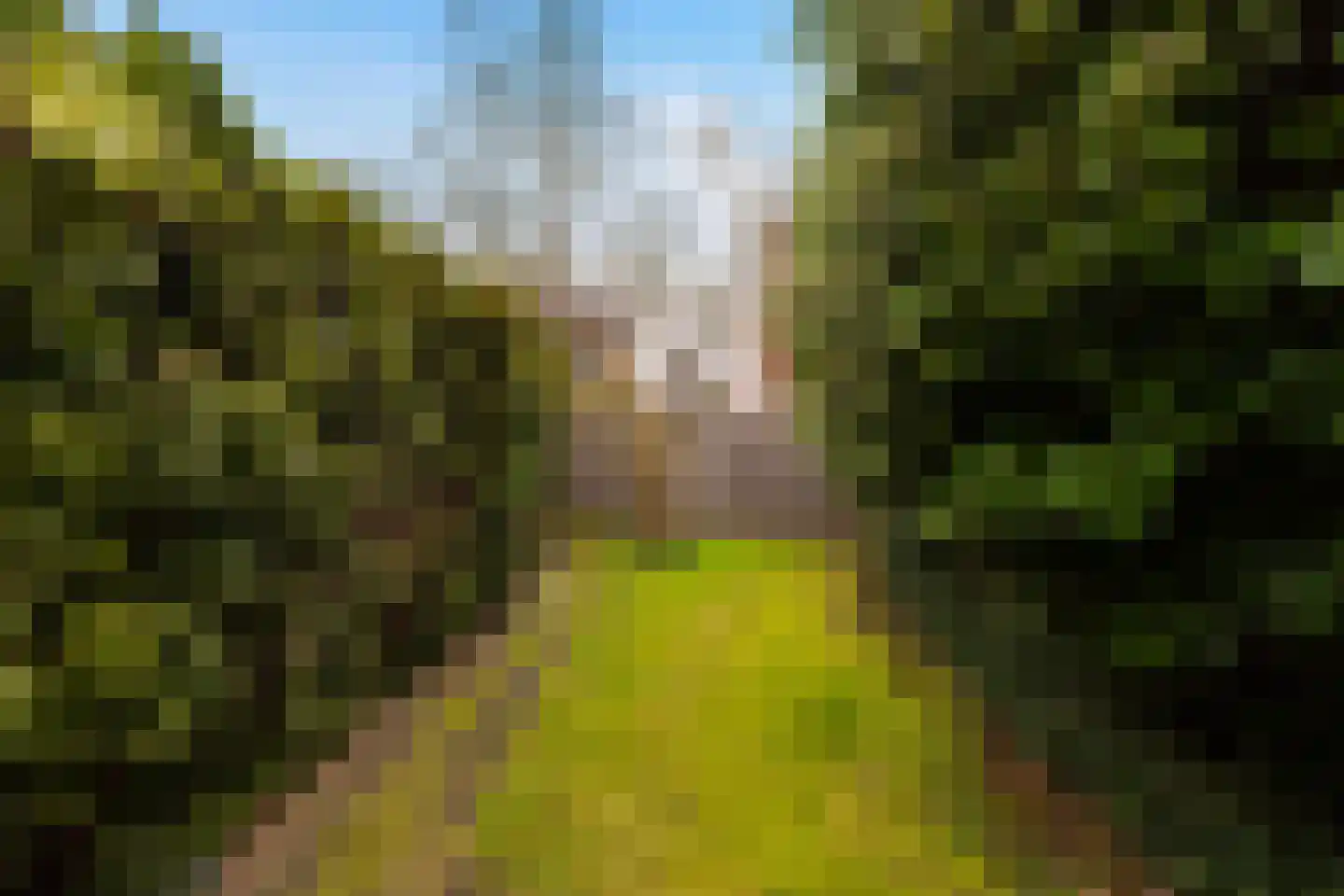 Vincent van Goghstraat 34 Zelhem thumbnail 20