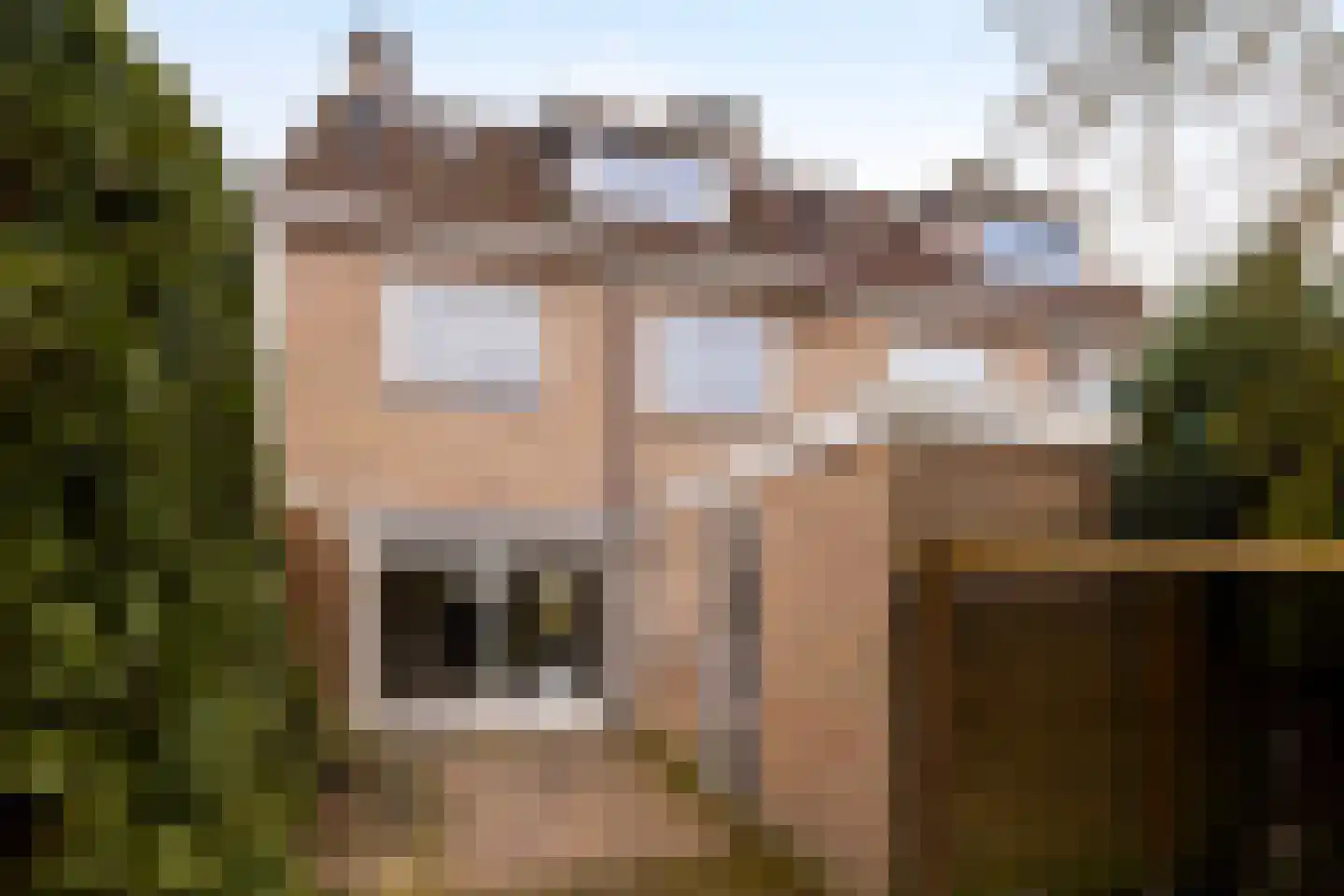 Vincent van Goghstraat 34 Zelhem thumbnail 21