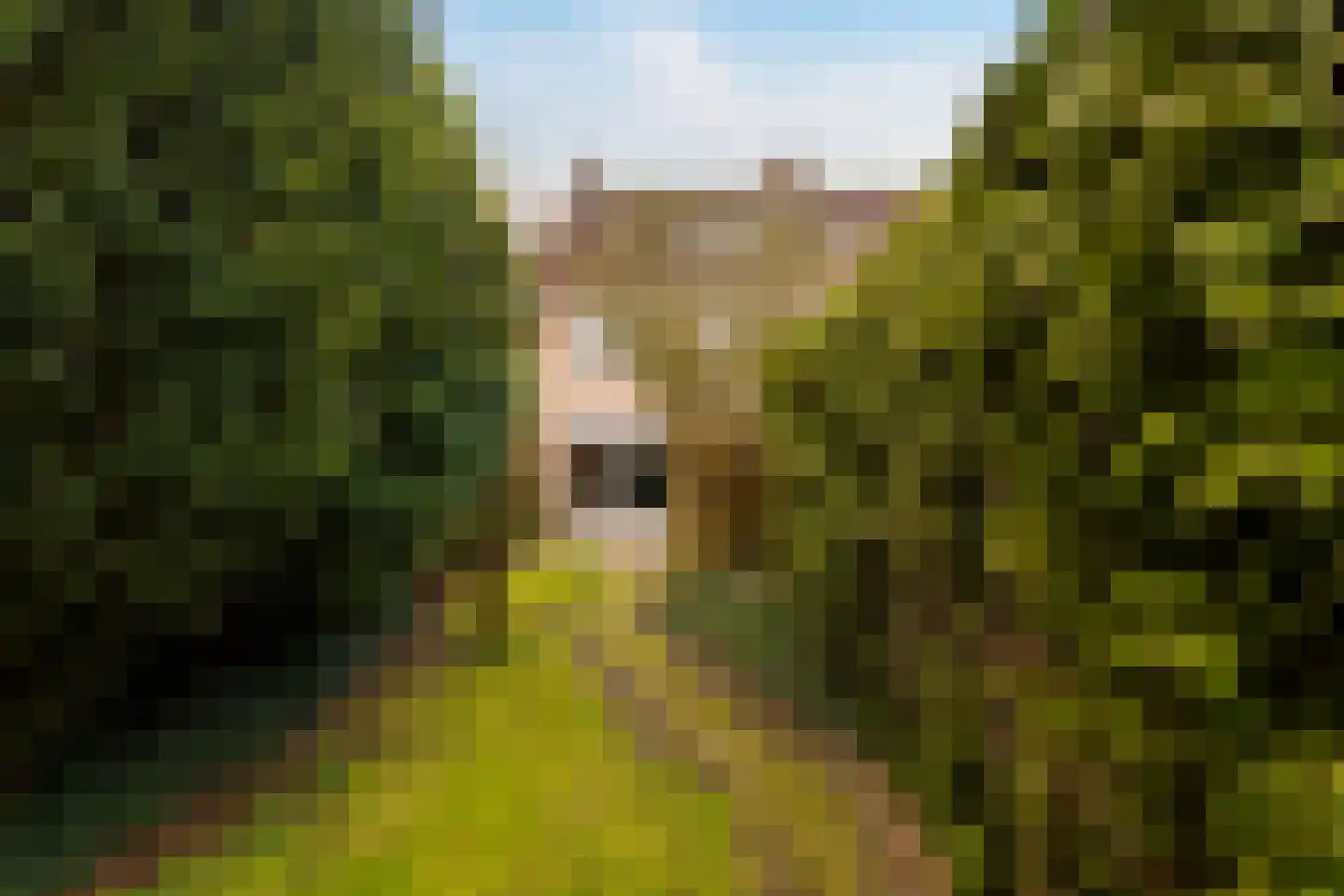 Vincent van Goghstraat 34 Zelhem thumbnail 4