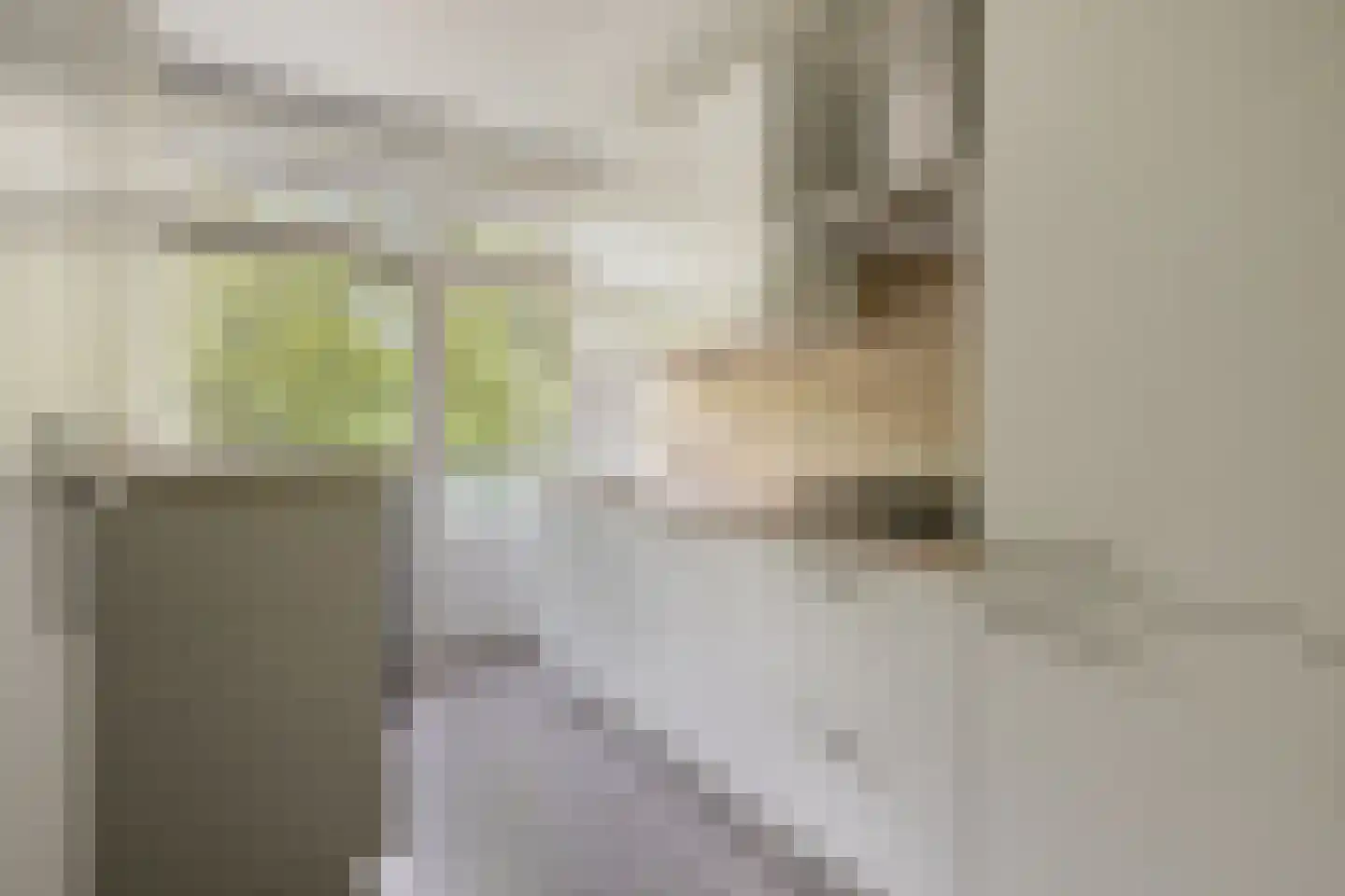 Vincent van Goghstraat 36 Terneuzen thumbnail 6