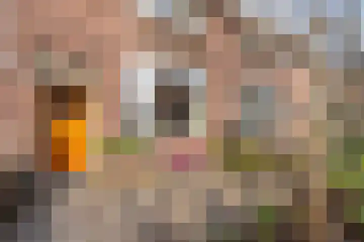Vincent van Goghstraat 38 Leeuwarden thumbnail 4