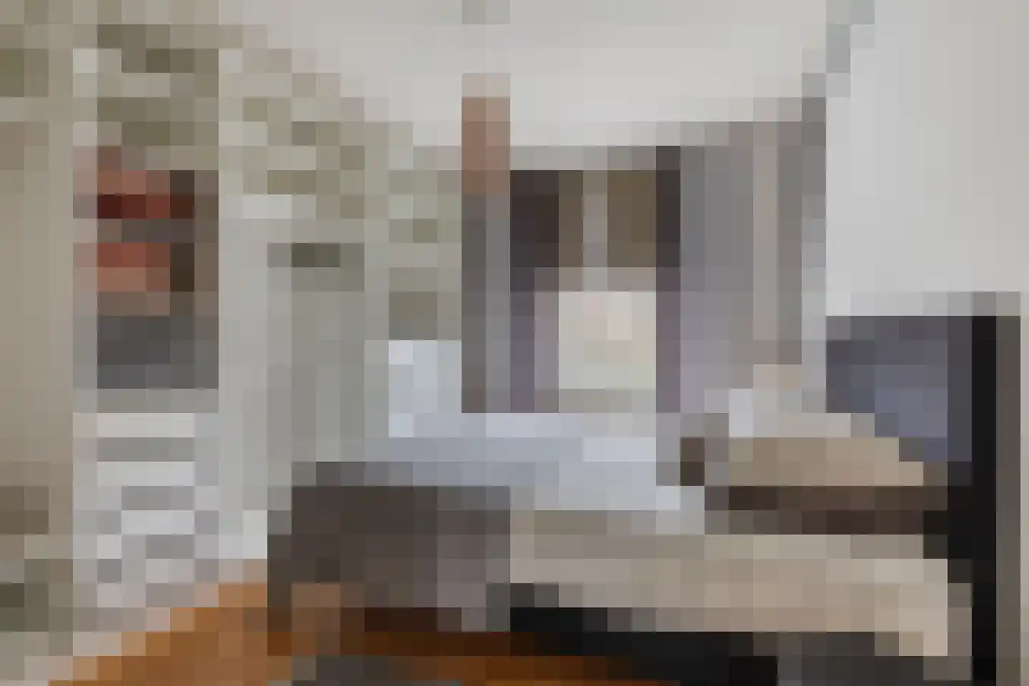 Vincent van Goghstraat 38 Terneuzen thumbnail 19