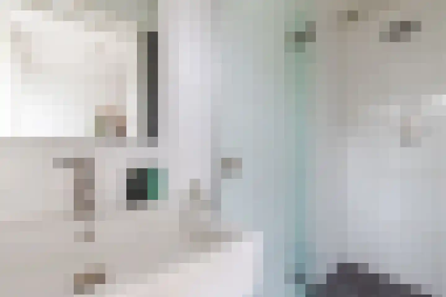 Vincent van Goghstraat 38 Terneuzen thumbnail 21