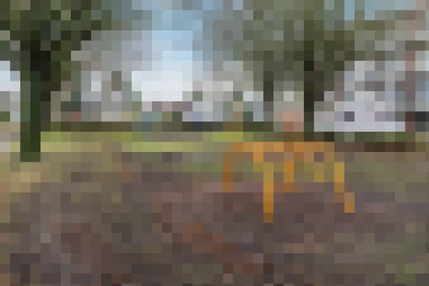 Vincent van Goghstraat 38 Terneuzen thumbnail 27