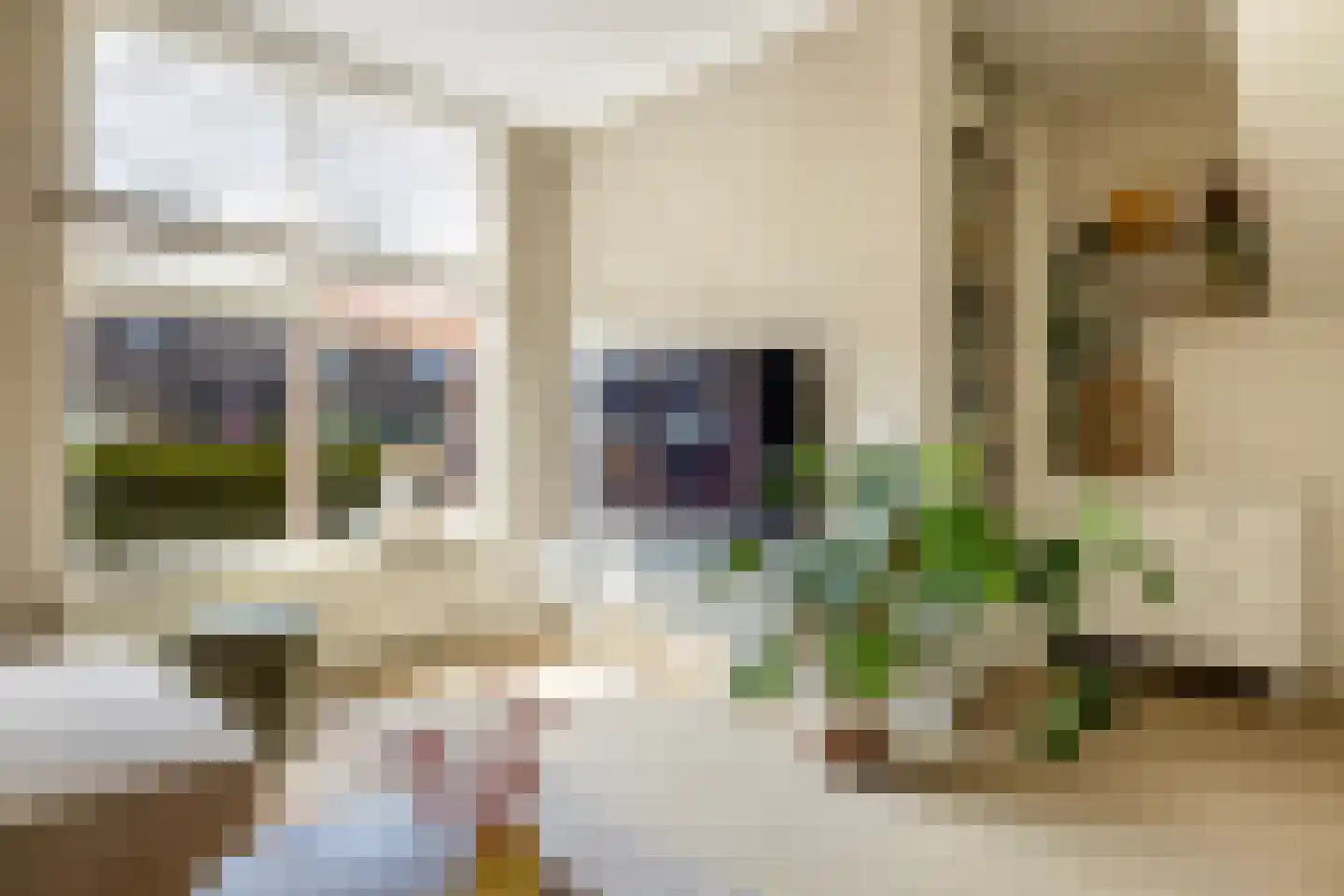 Vincent van Goghstraat 39 Dordrecht thumbnail 12