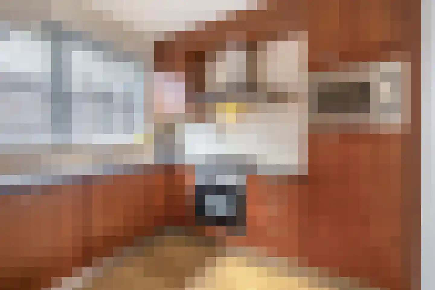 Vincent van Goghstraat 39 Nuenen thumbnail 24