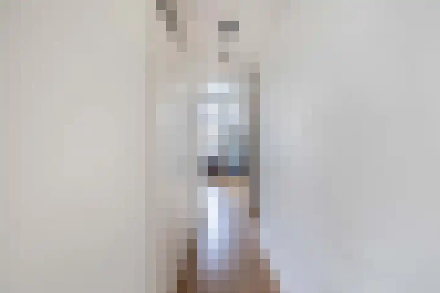 Vincent van Goghstraat 39 Nuenen thumbnail 32