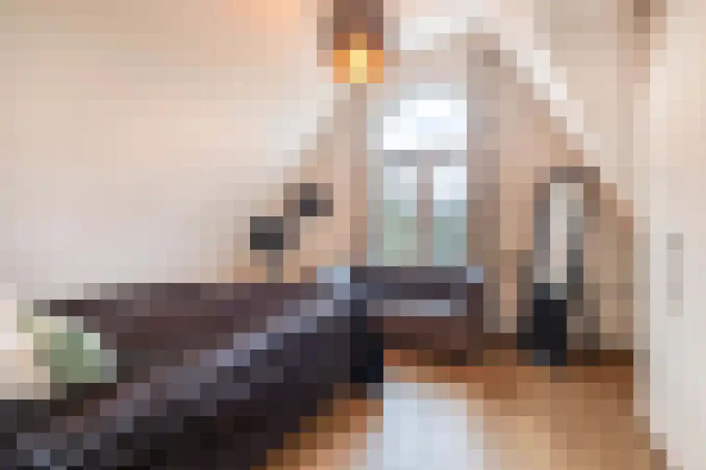 Vincent van Goghstraat 39 Nuenen thumbnail 33