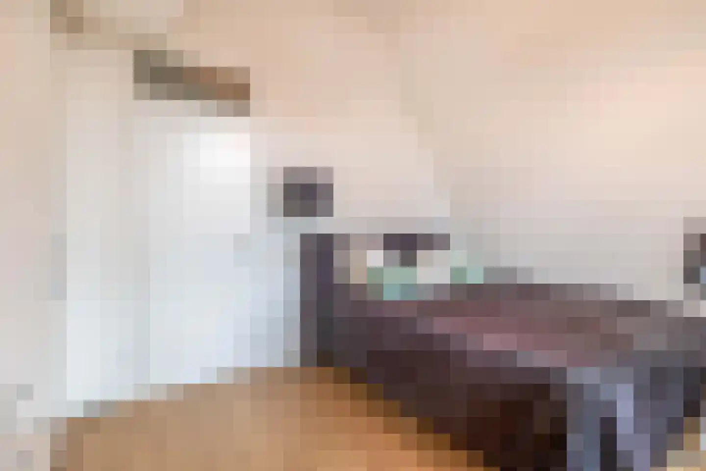 Vincent van Goghstraat 39 Nuenen thumbnail 34