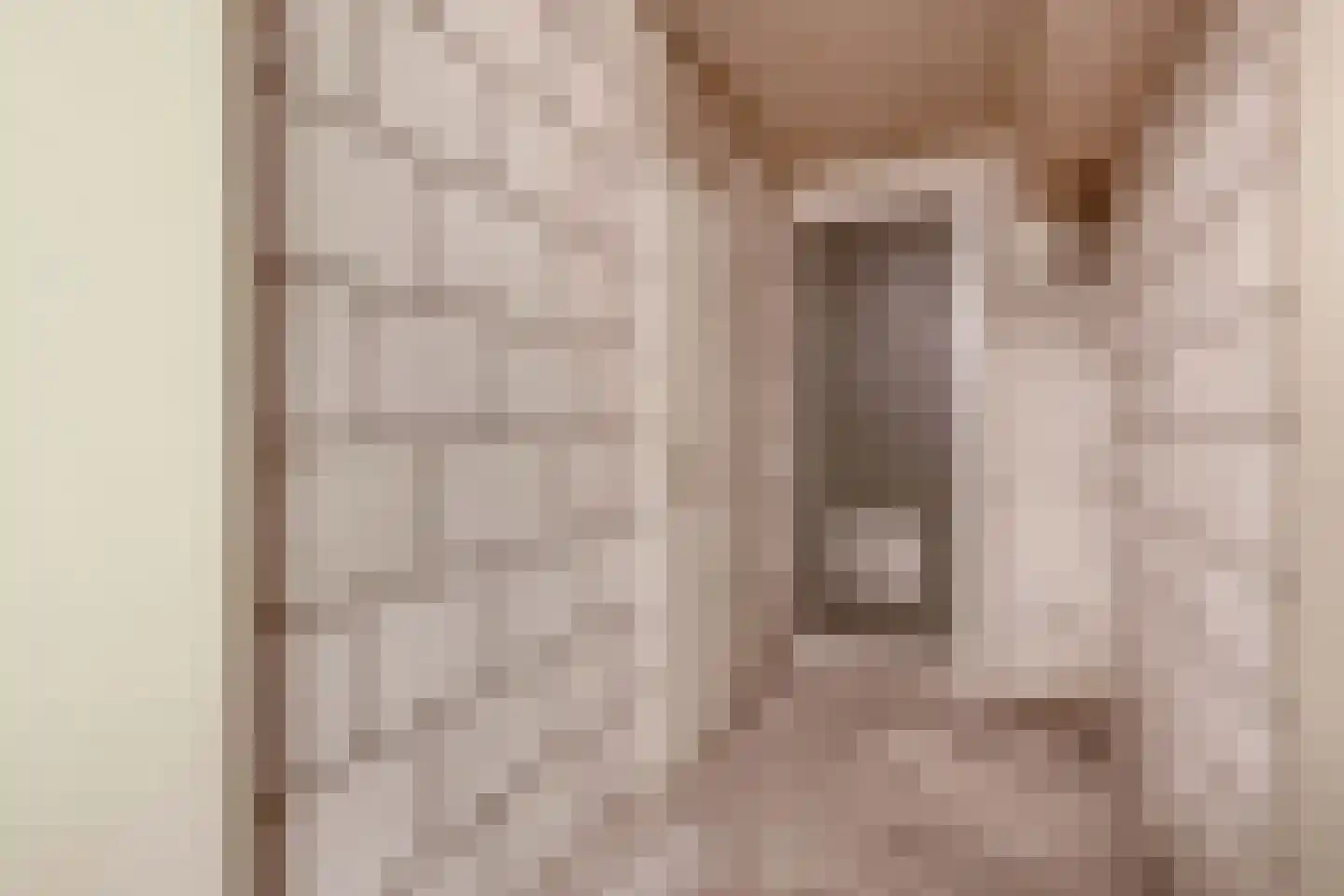 Vincent van Goghstraat 39 Nuenen thumbnail 39