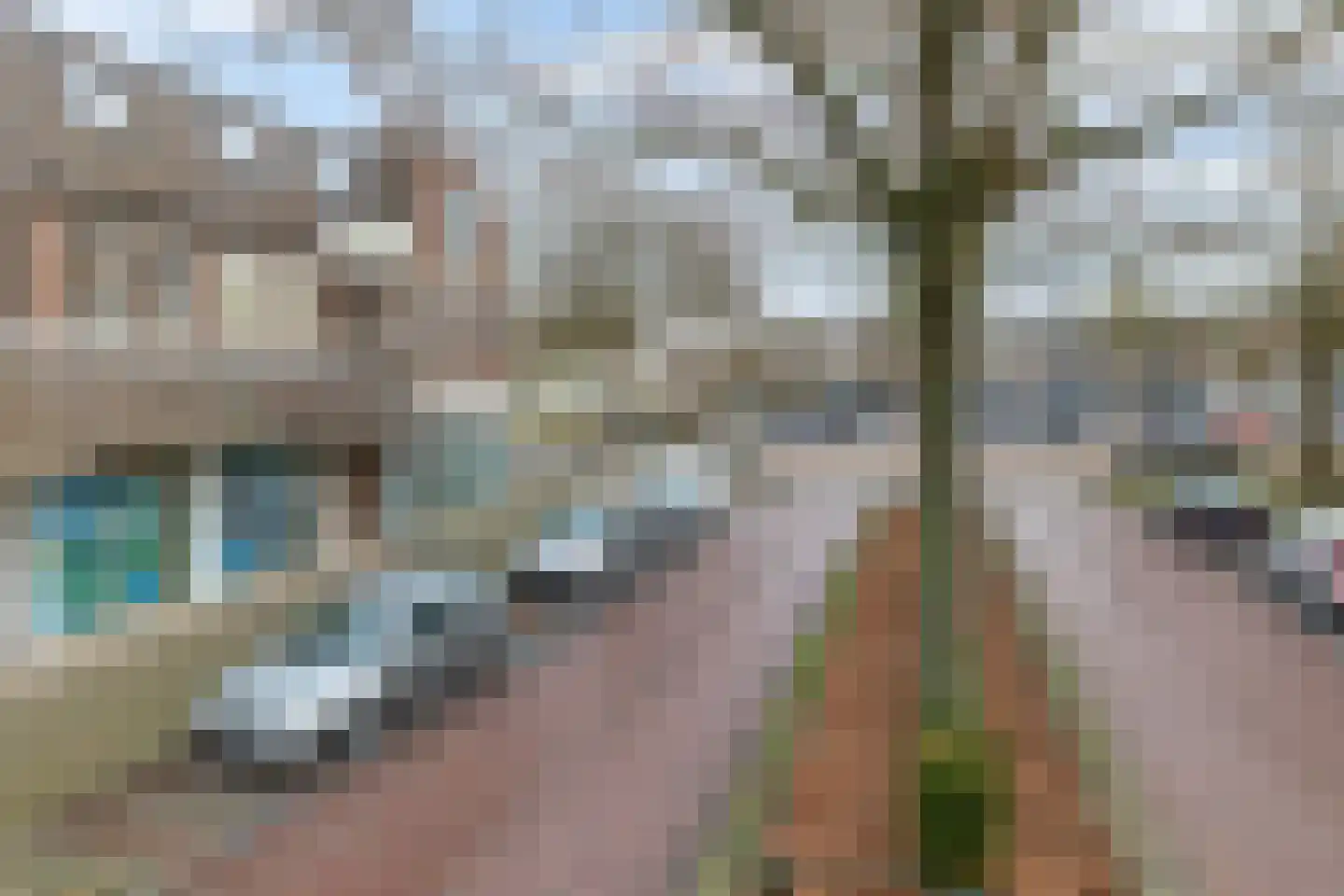 Vincent van Goghstraat 39 Nuenen thumbnail 8