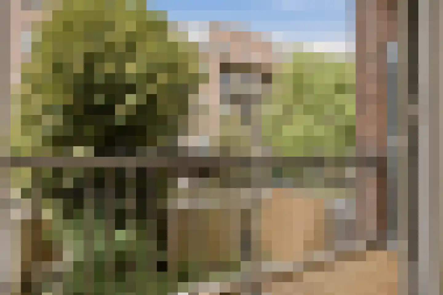 Vincent van Goghstraat 4 B Amsterdam thumbnail 11