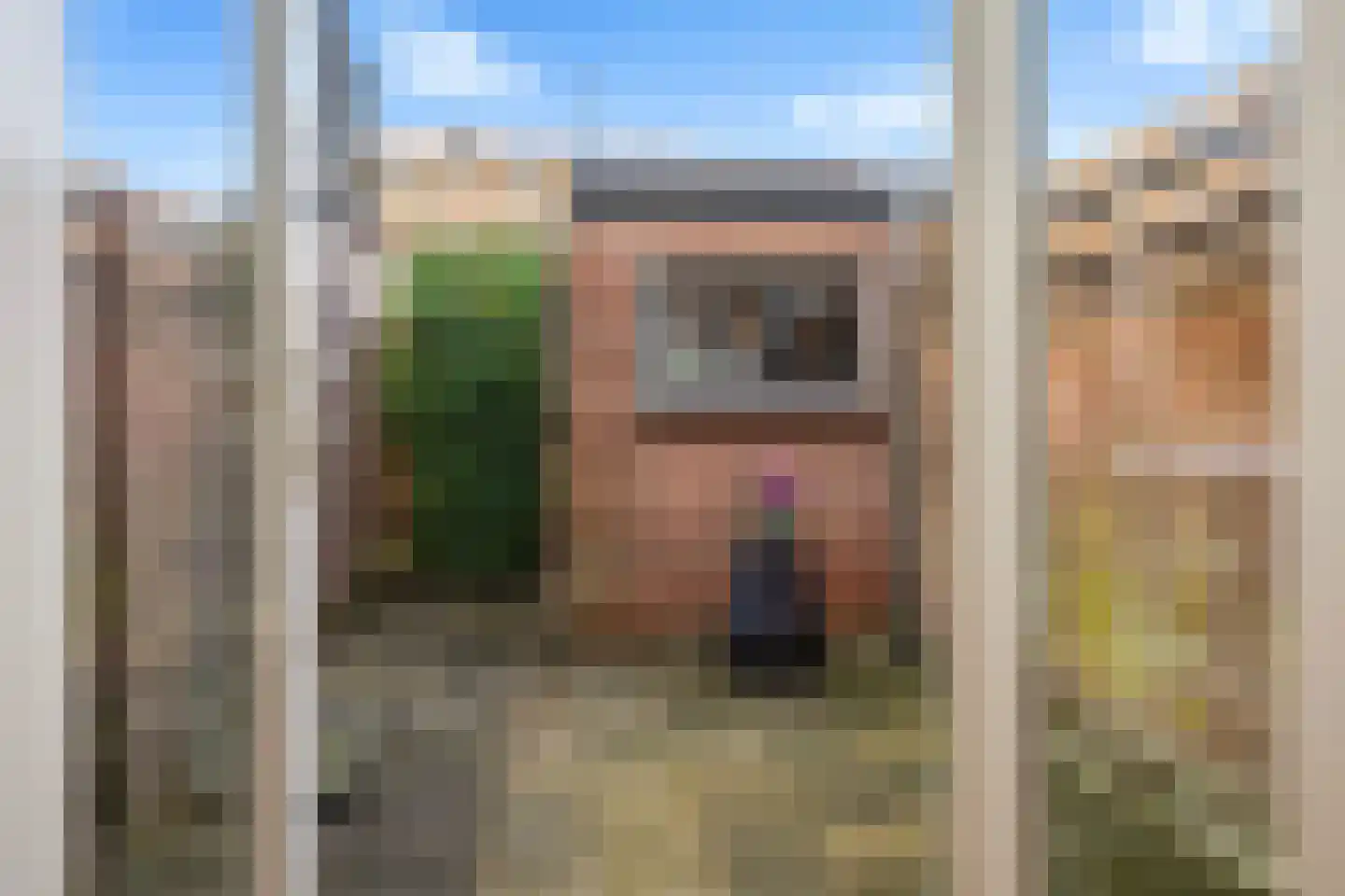 Vincent van Goghstraat 41 Leeuwarden thumbnail 22