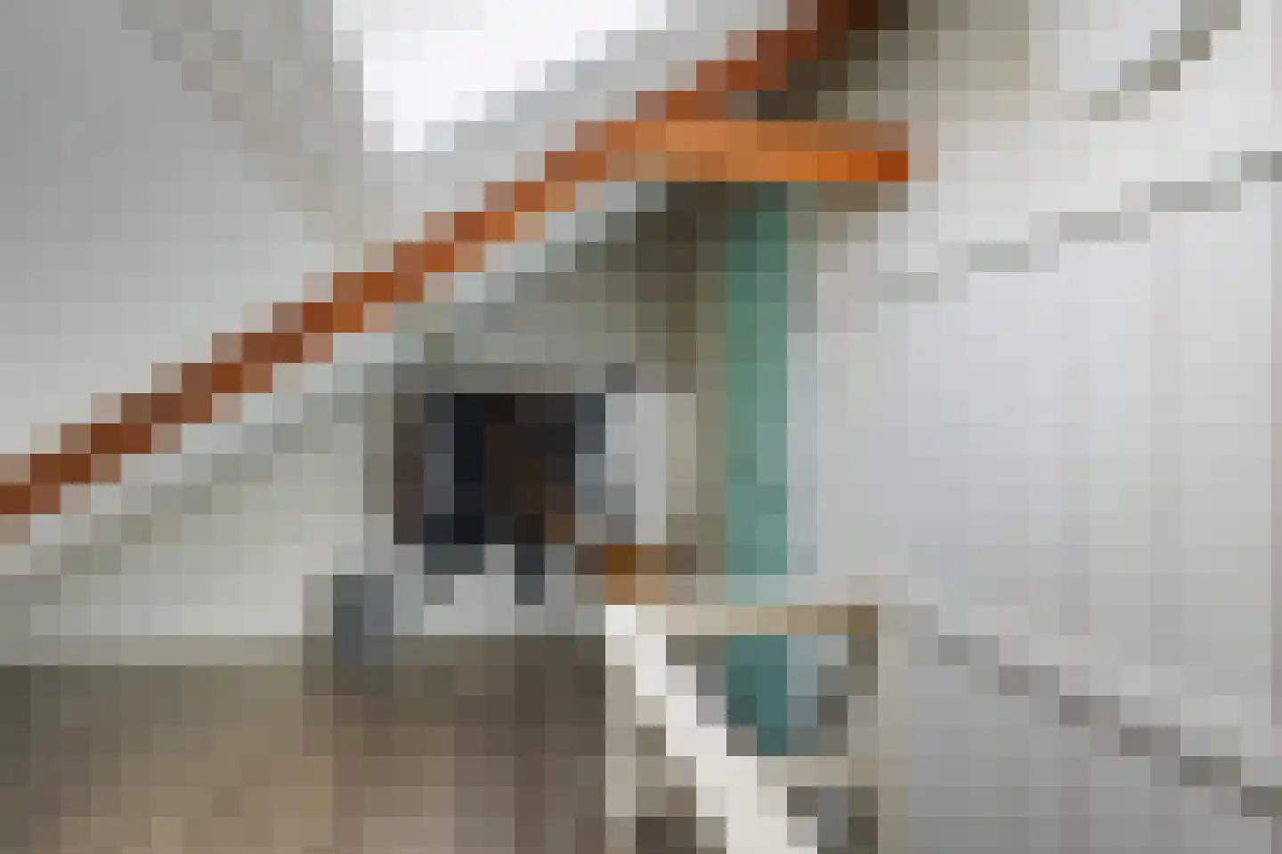 Vincent van Goghstraat 41 Leeuwarden thumbnail 33