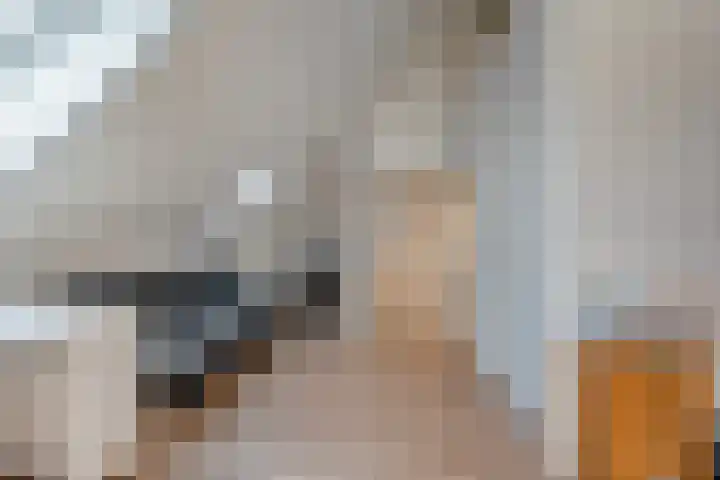 Vincent van Goghstraat 42 Hengelo thumbnail 18