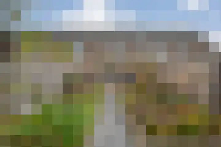 Vincent van Goghstraat 42 Hengelo thumbnail 20