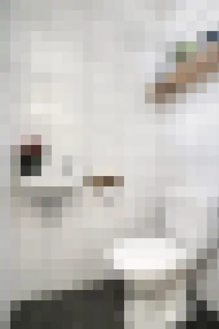 Vincent van Goghstraat 43 Nuenen thumbnail 11